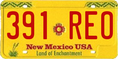 NM license plate 391REO