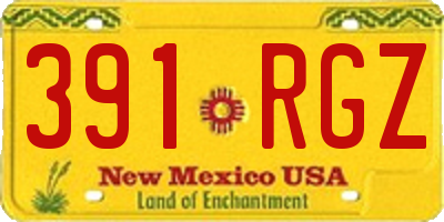 NM license plate 391RGZ