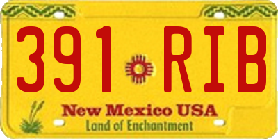 NM license plate 391RIB