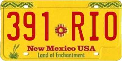 NM license plate 391RIO