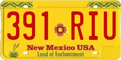 NM license plate 391RIU