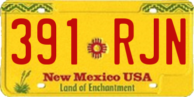 NM license plate 391RJN