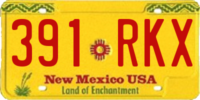 NM license plate 391RKX
