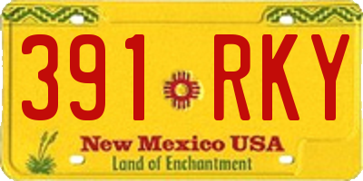 NM license plate 391RKY