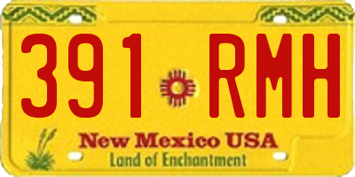 NM license plate 391RMH