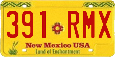 NM license plate 391RMX