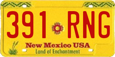 NM license plate 391RNG