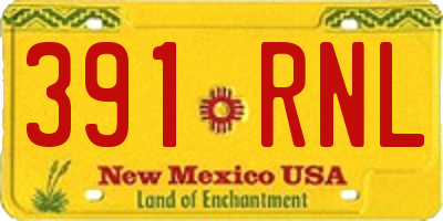 NM license plate 391RNL