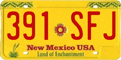 NM license plate 391SFJ
