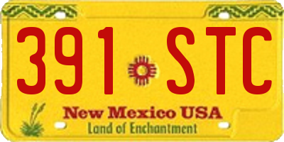 NM license plate 391STC