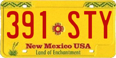 NM license plate 391STY