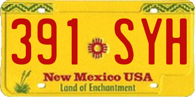 NM license plate 391SYH