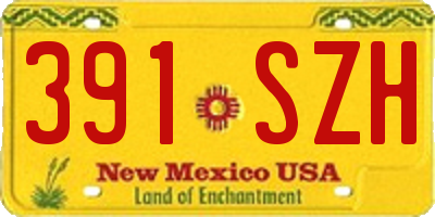 NM license plate 391SZH