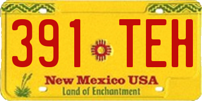 NM license plate 391TEH