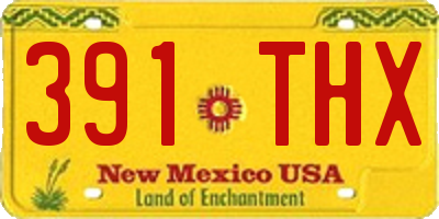 NM license plate 391THX