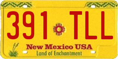 NM license plate 391TLL