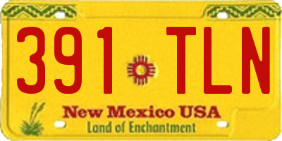 NM license plate 391TLN