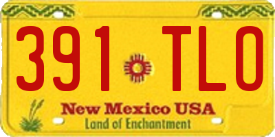 NM license plate 391TLO