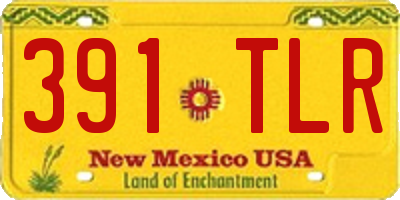 NM license plate 391TLR