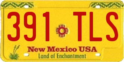 NM license plate 391TLS