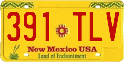 NM license plate 391TLV