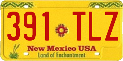 NM license plate 391TLZ