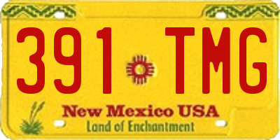 NM license plate 391TMG