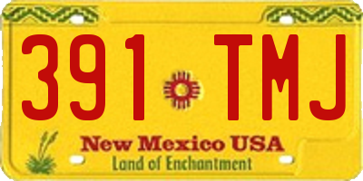 NM license plate 391TMJ