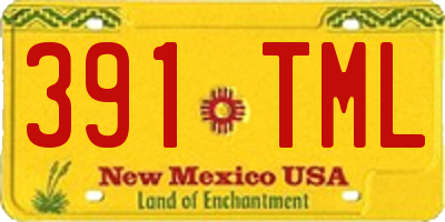 NM license plate 391TML