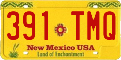 NM license plate 391TMQ
