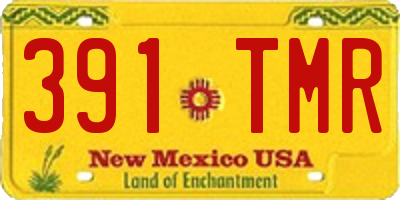 NM license plate 391TMR