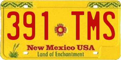 NM license plate 391TMS
