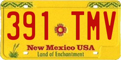 NM license plate 391TMV