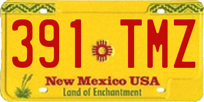 NM license plate 391TMZ