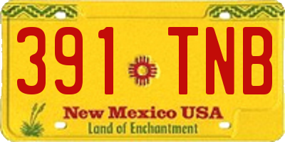 NM license plate 391TNB