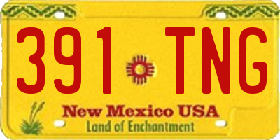 NM license plate 391TNG