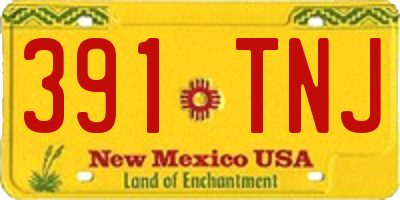 NM license plate 391TNJ