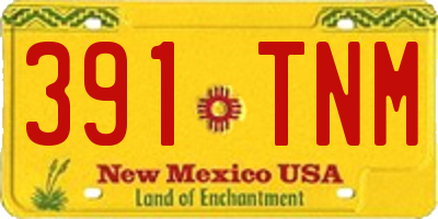 NM license plate 391TNM