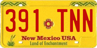 NM license plate 391TNN
