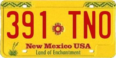 NM license plate 391TNO