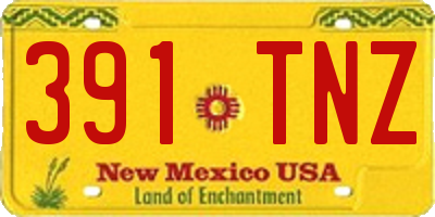 NM license plate 391TNZ