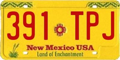NM license plate 391TPJ