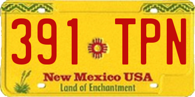 NM license plate 391TPN