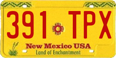 NM license plate 391TPX