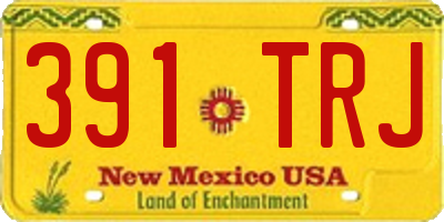 NM license plate 391TRJ