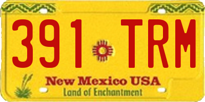 NM license plate 391TRM