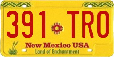 NM license plate 391TRO