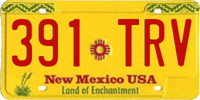 NM license plate 391TRV