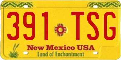 NM license plate 391TSG