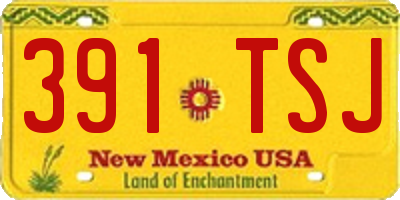 NM license plate 391TSJ